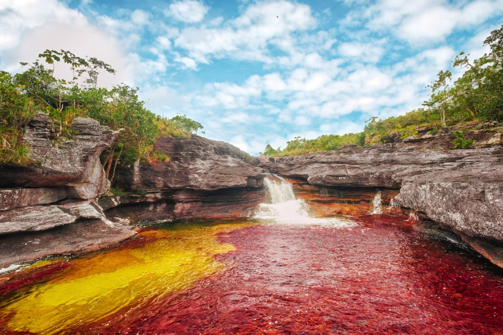 Abre Caño Cristales 2026: fechas, precios y todo lo que necesitas saber antes de ir