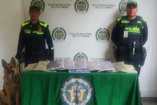 Incautan réplica de escultura de Botero con 12 kilos de marihuana en El Dorado