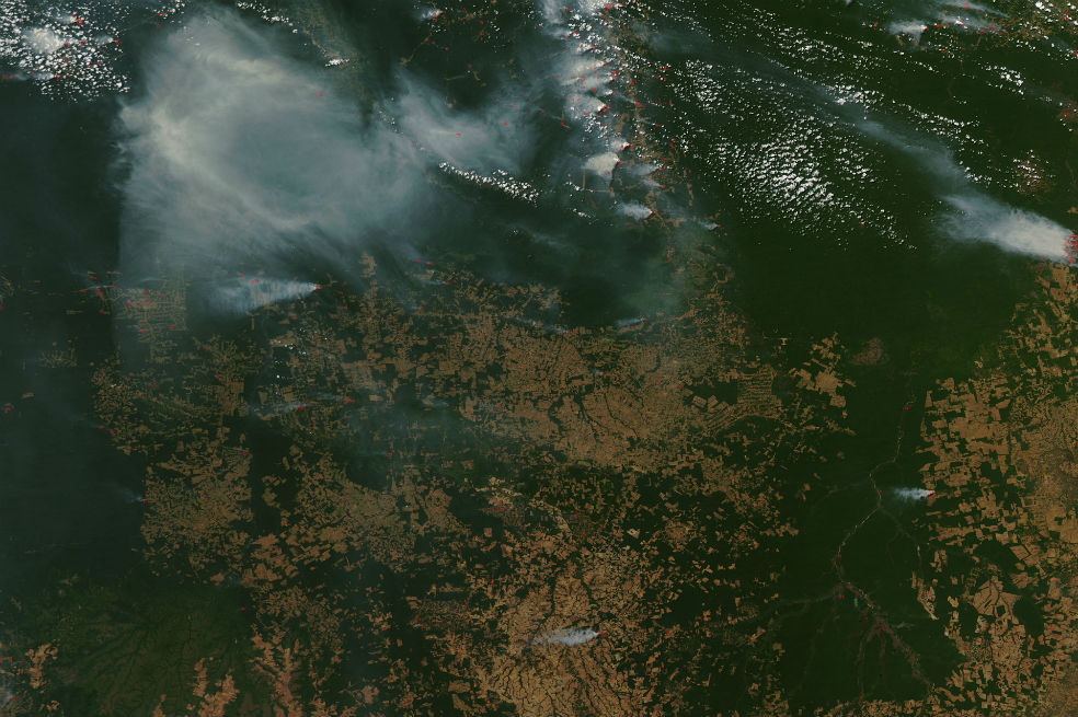 Brasil rompe récord en deforestación