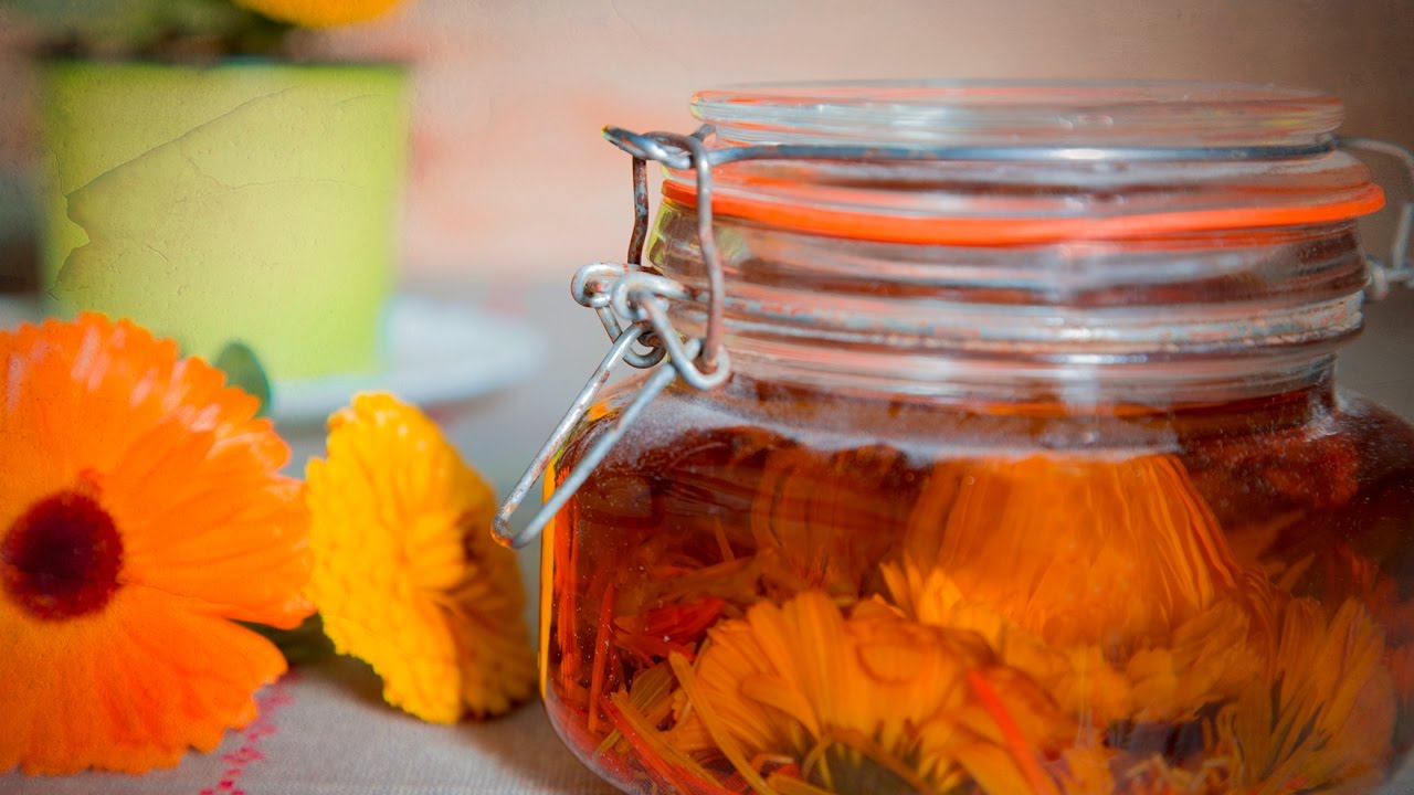 La caléndula, una flor de color amarillo brillante, es conocida por sus propiedades curativas y se ha utilizado en la medicina tradicional durante siglos.