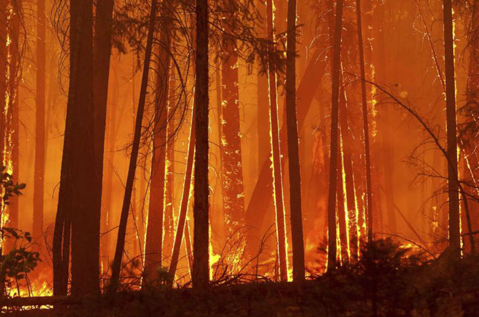 Incendio forestal amenaza el Parque Nacional Yosemite