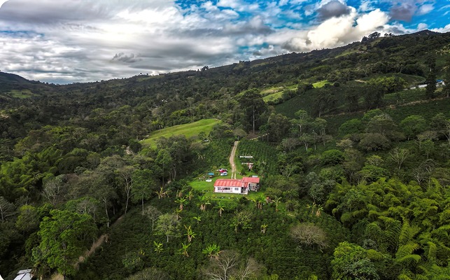 ¿Por qué visitar “Huila Grande” en fin de año? El corazón cafetero de Colombia