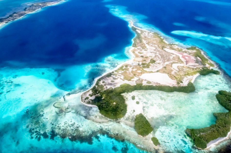¿Qué hacer en el parque marino más grande de Latinoamérica?