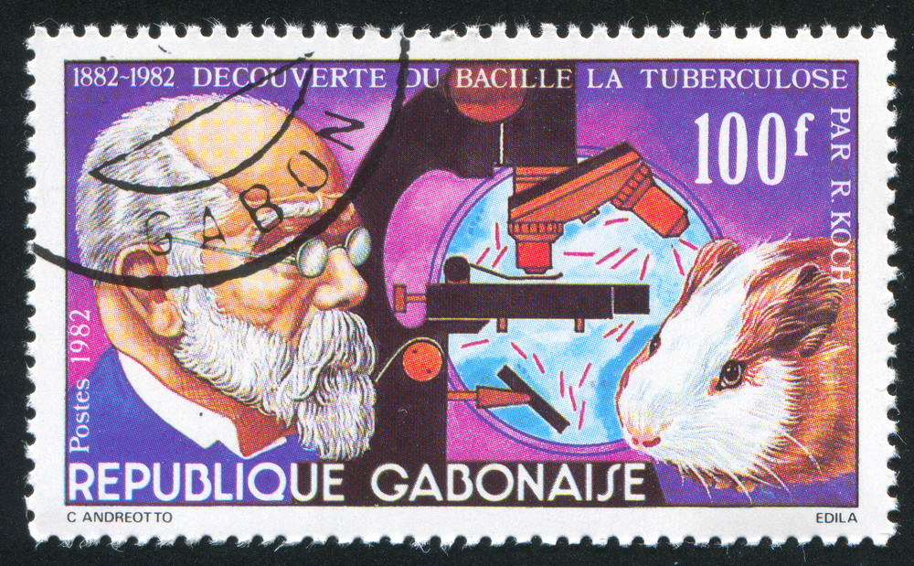 Estampilla de Gabón de 1982, homenaje a Robert Koch. Muestra el bacilo de la tuberculosis y el conejillo de indias.