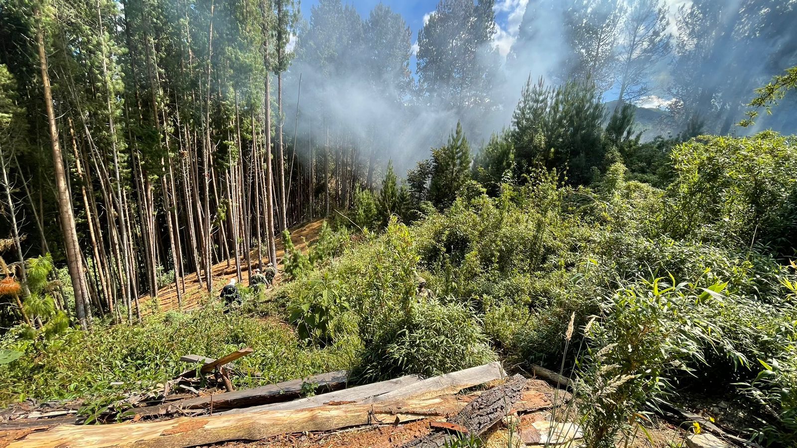 Incendios forestales en Cundinamarca: este martes se retomarán labores en Zipaquirá