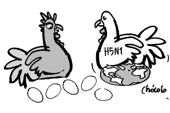 H5N1