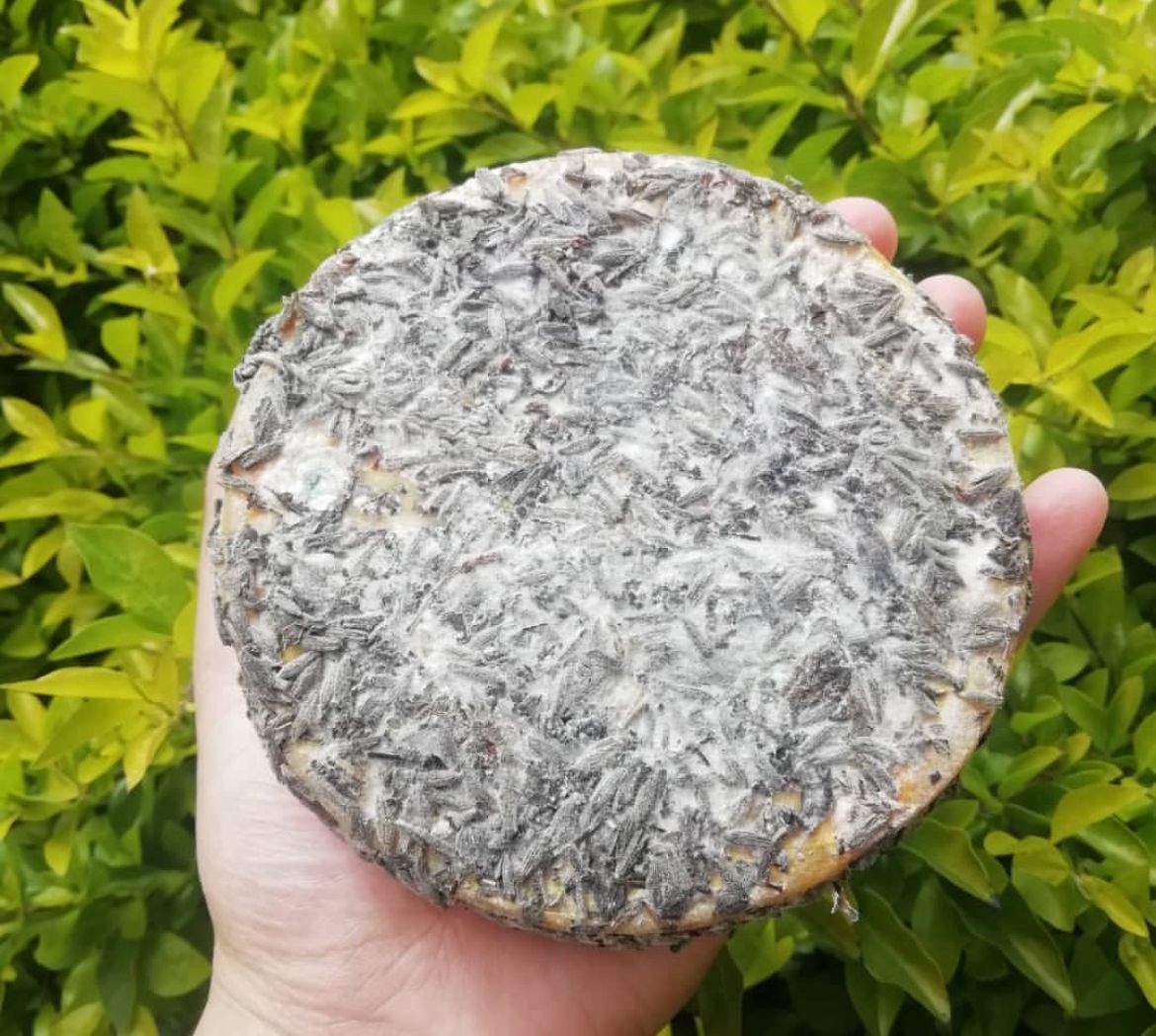 Queso de lavanda