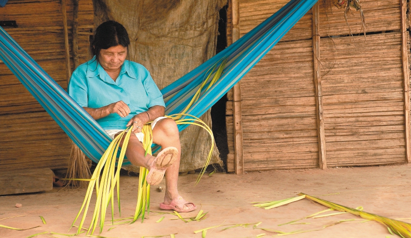 La verdad de los pueblos indígenas de la Amazonía