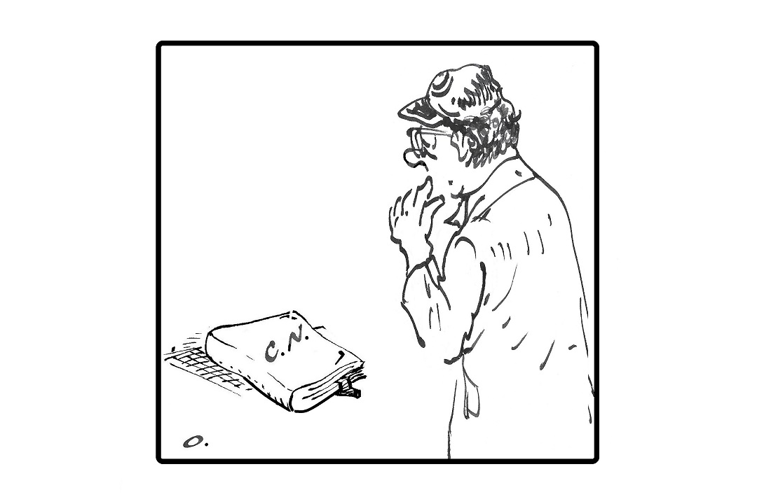 Constitución y leyes