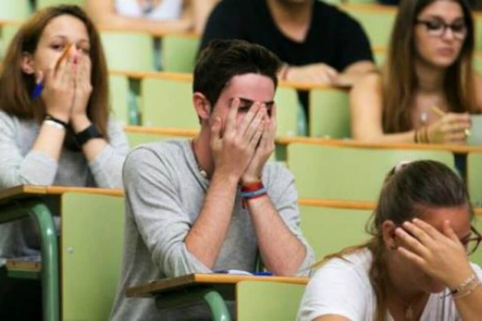 Notas pedagógicas para una sociedad en crisis (IV)
