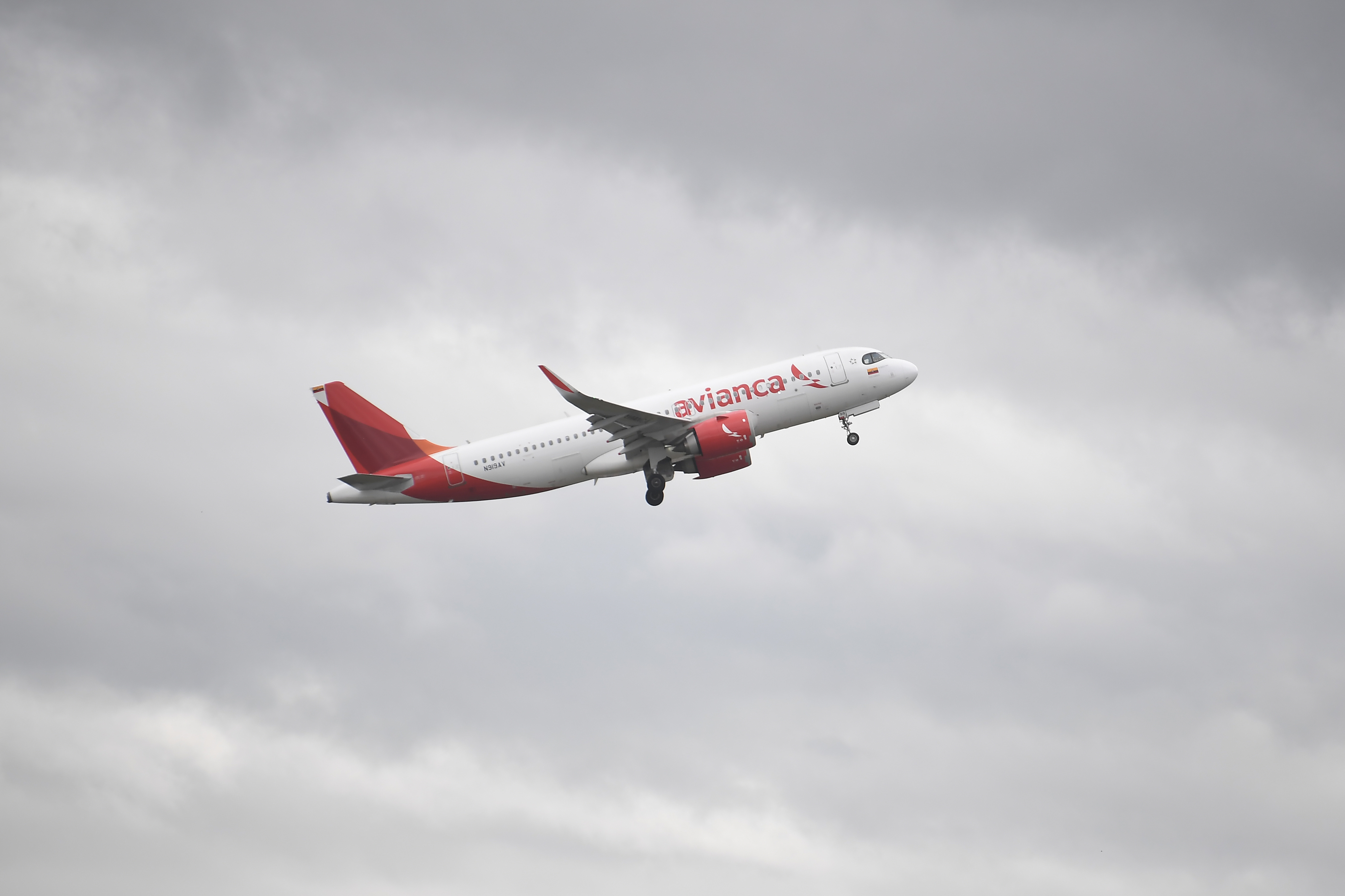 Avianca suspendió vuelos Bogotá-Caracas: estas son las opciones que tienen los pasajeros