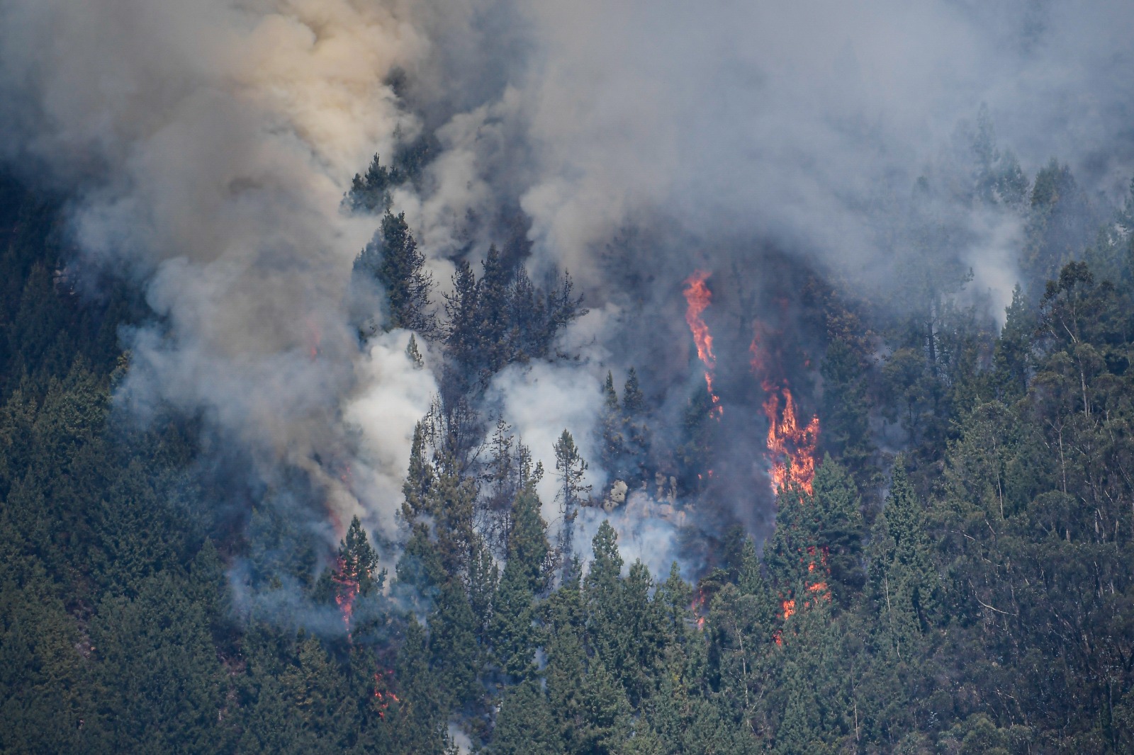 Bogotá asediada por las llamas: 3 días de emergencia y 4 incendios activos
