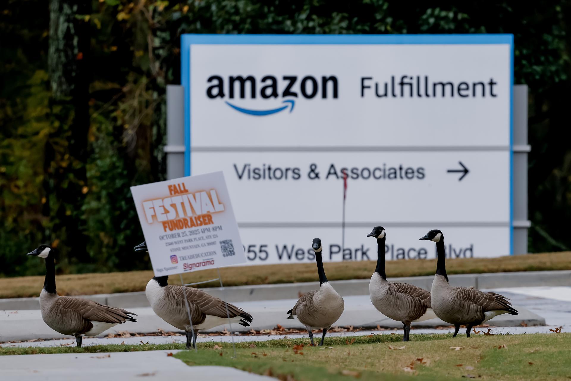 STONE MOUNTAIN (United States), 28/10/2025.- Canada geese graze outside an Amazon Fulfillment Center in Stone Mountain, Georgia, USA, 28 October 2025. Amazon has announced a workforce reduction of about 14,000 jobs, according to a post on its corporate website. EFE/EPA/ERIK S. LESSER
