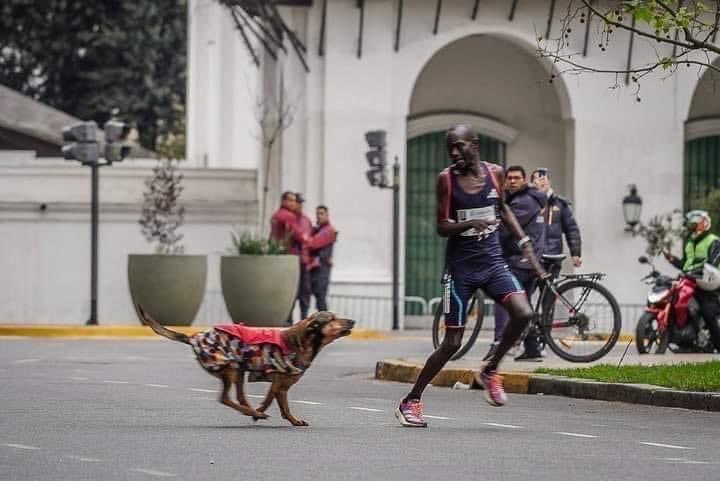 Corredor denuncia que perdió el primer lugar en una maratón tras ataque de perro