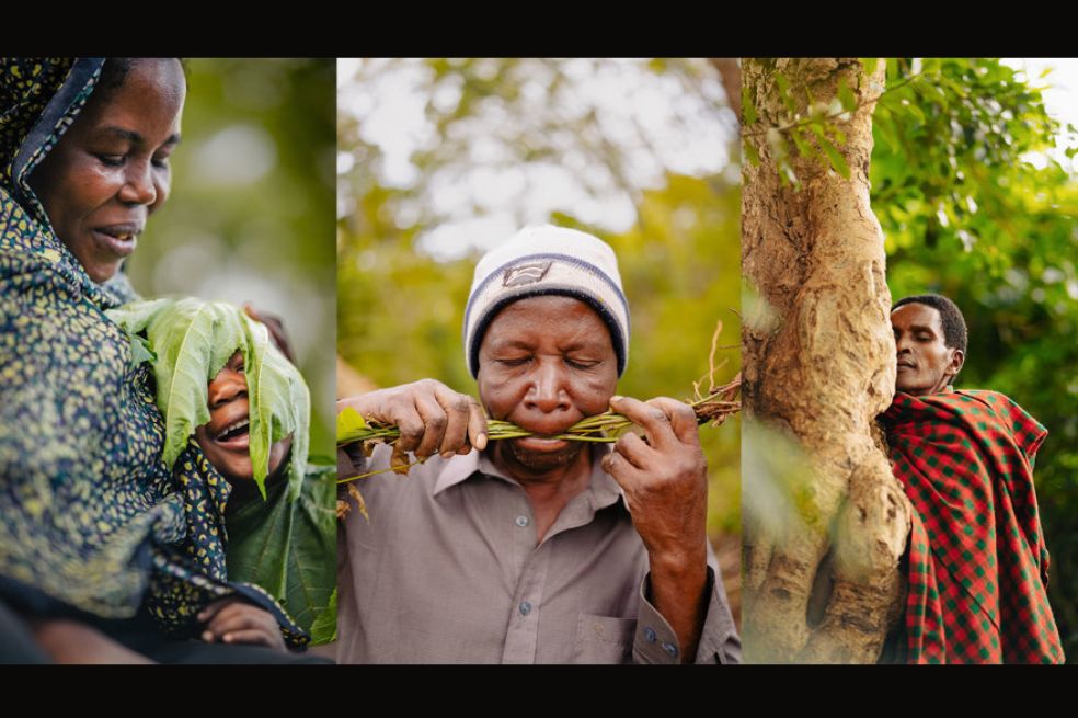 Premio David Wolf Kaye al Potencial Futuro en Fotografía: Filbert Minja fue el ganador por su proyecto Roots of Healing, que documenta a los herbolarios indígenas de las regiones de Kilimanjaro y Arusha en Tanzania.