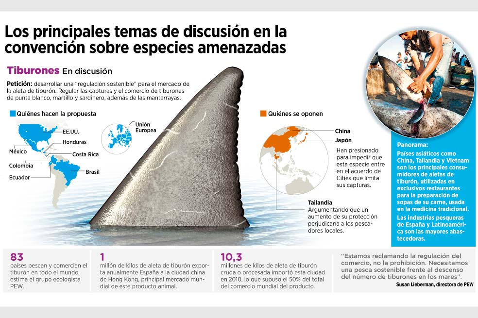 Una cita por la supervivencia
