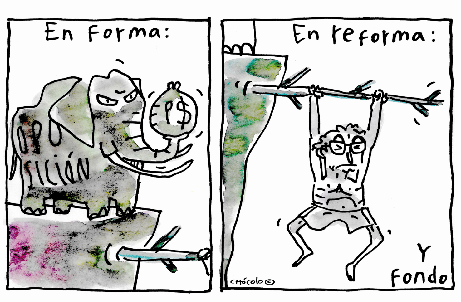 Chócolo