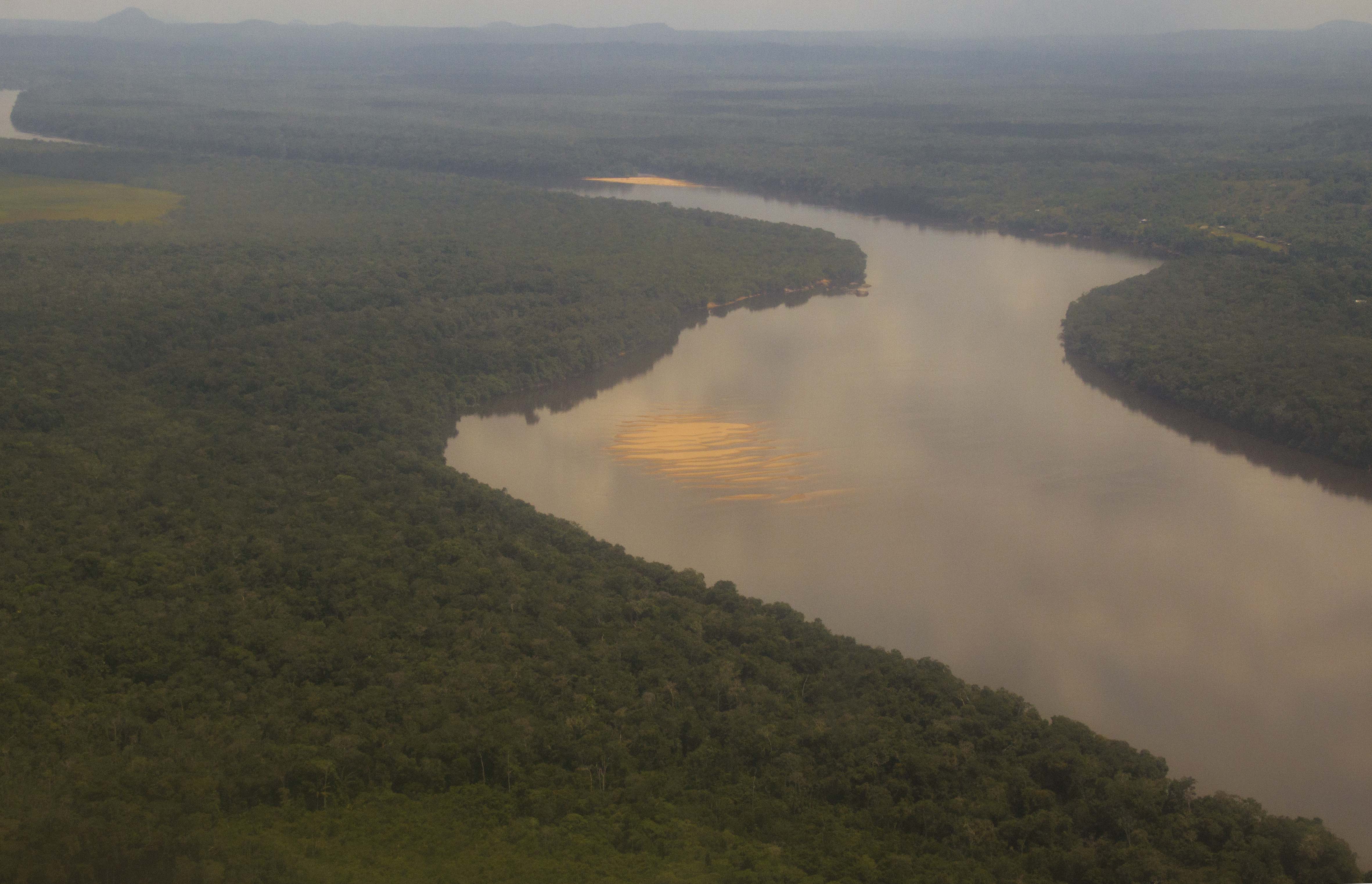 La amenaza de la selva del Vaupés por cuenta de la deforestación y la ganadería