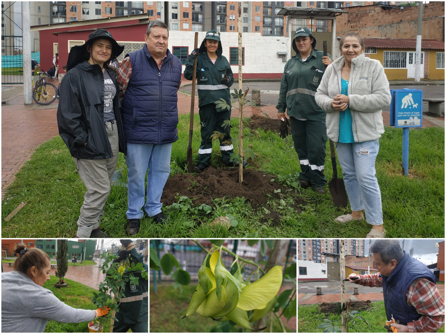 El barrio ‘El Cuco’ reverdece con un nuevo arbolado