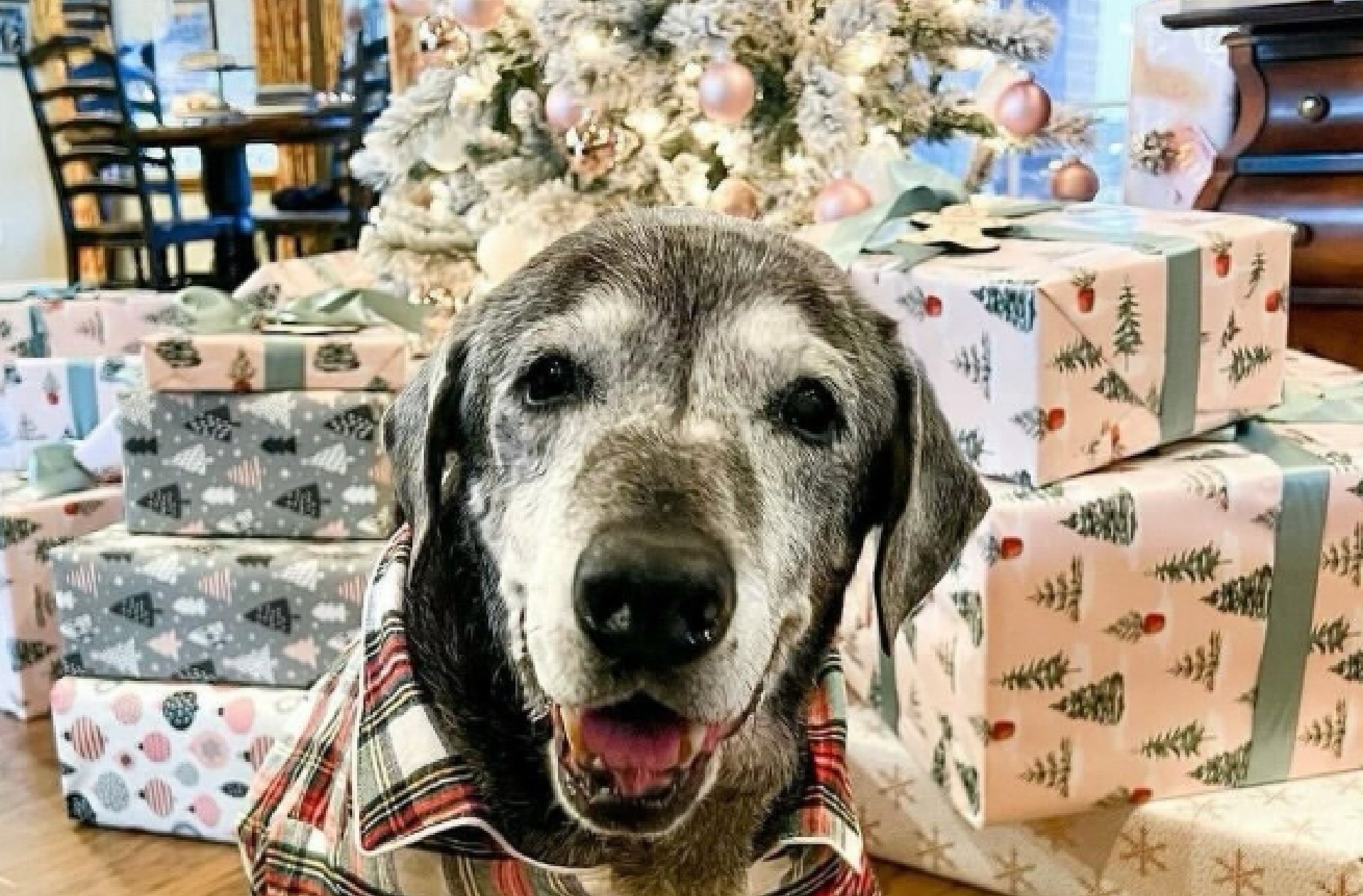 Como lo demuestra Annie, a veces no se trata de cuánto tiempo queda, sino de cómo se vive y con quién.