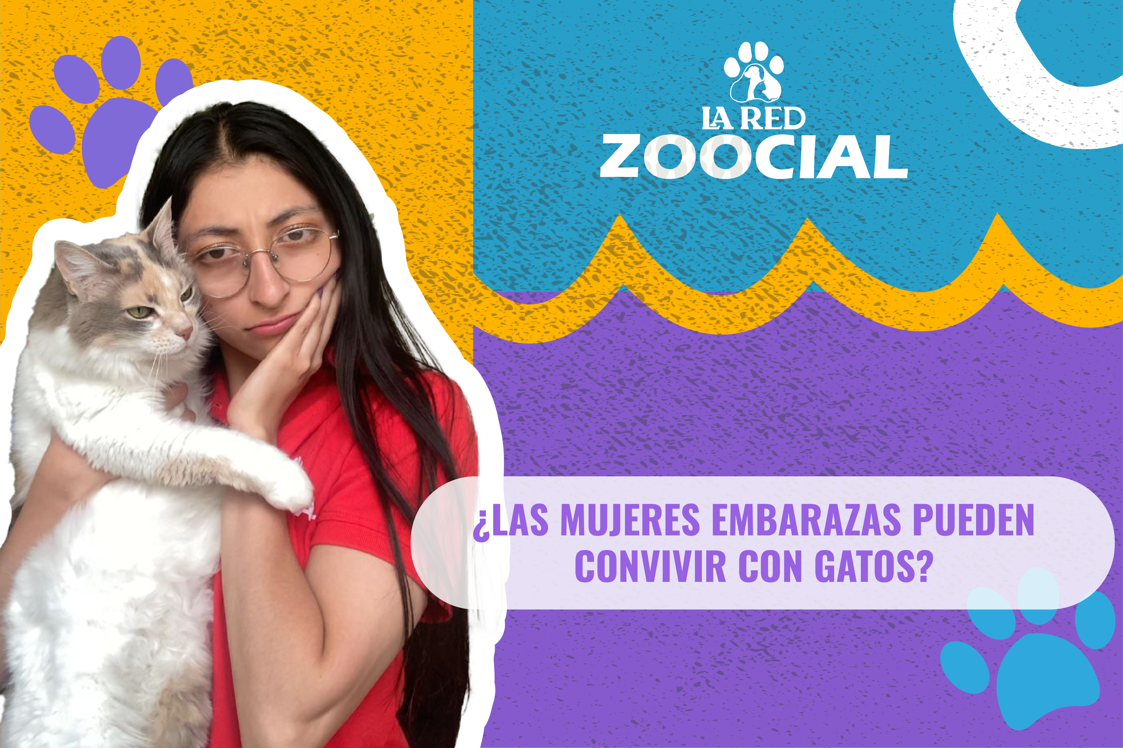 ¿Las mujeres embarazadas pueden convivir con gatos?