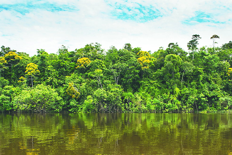 Así influye el cambio climático en la Amazonia