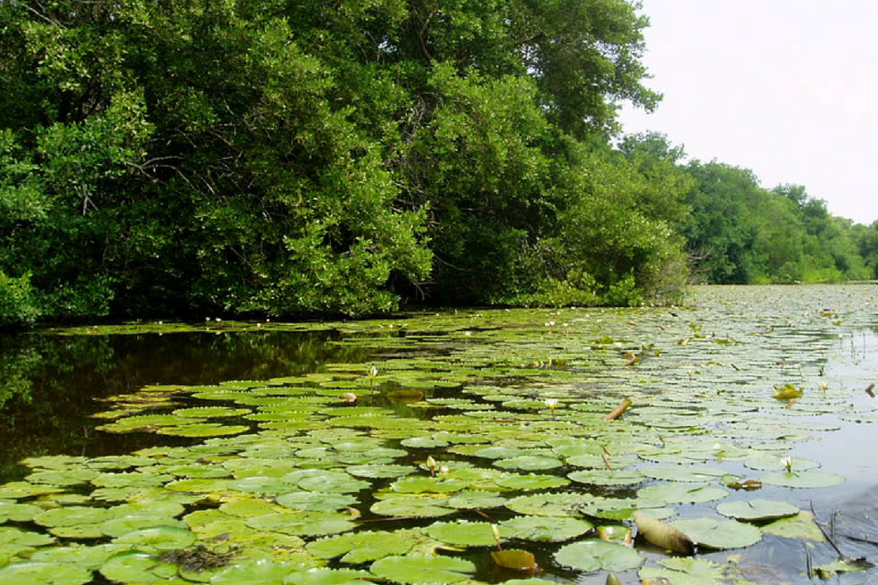 Camión que llevaba combustible se volcó sobre aguas de un Parque Nacional en Barranquilla