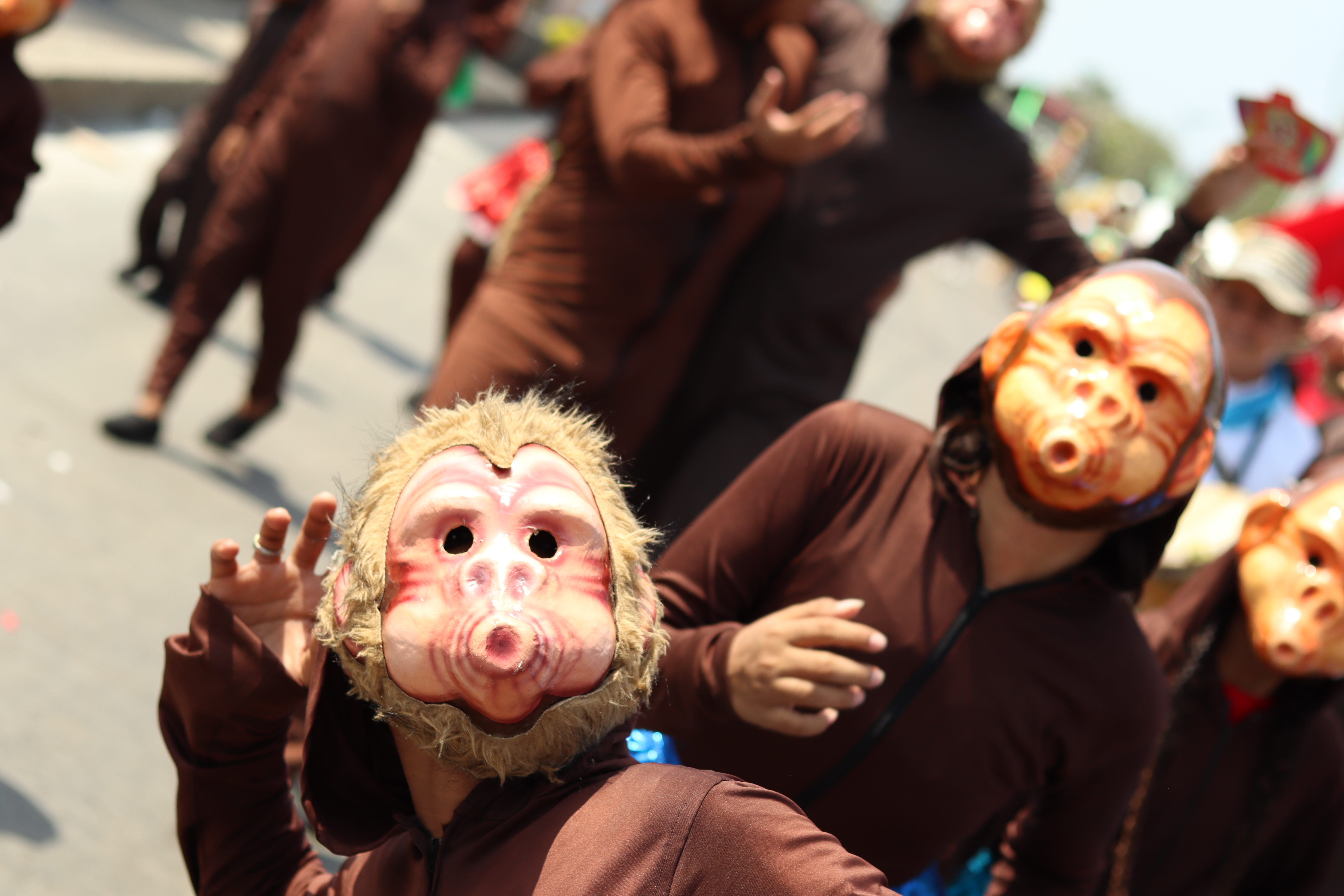 El instinto animal del Carnaval de Barranquilla