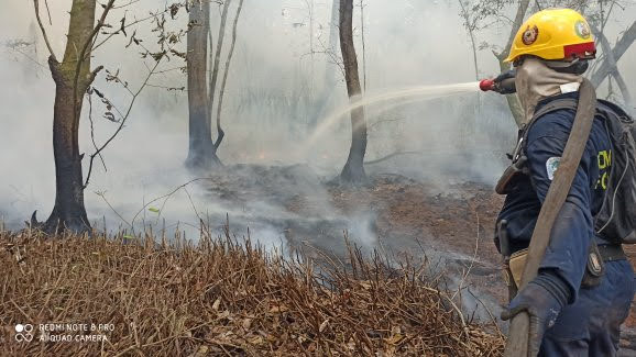 Según Eric Deulufeut, bombero forestal de la zona, en lo que va corrido de 2021 se han registrado cuatro incendios en el parque.