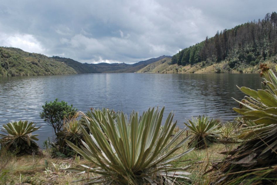 Firman acuerdo para proteger páramo de Rabanal en Boyacá