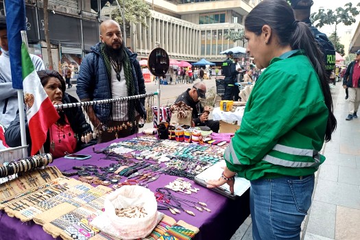 Incautan colmillos de lobo marino y otros productos que vendían en la Séptima
