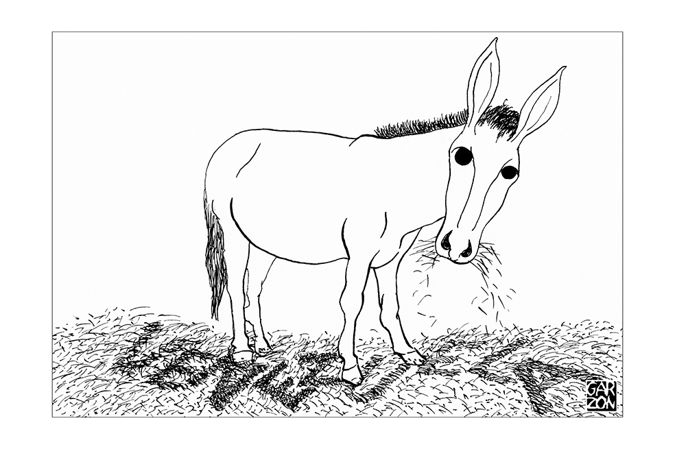 Cartones de Garzón
