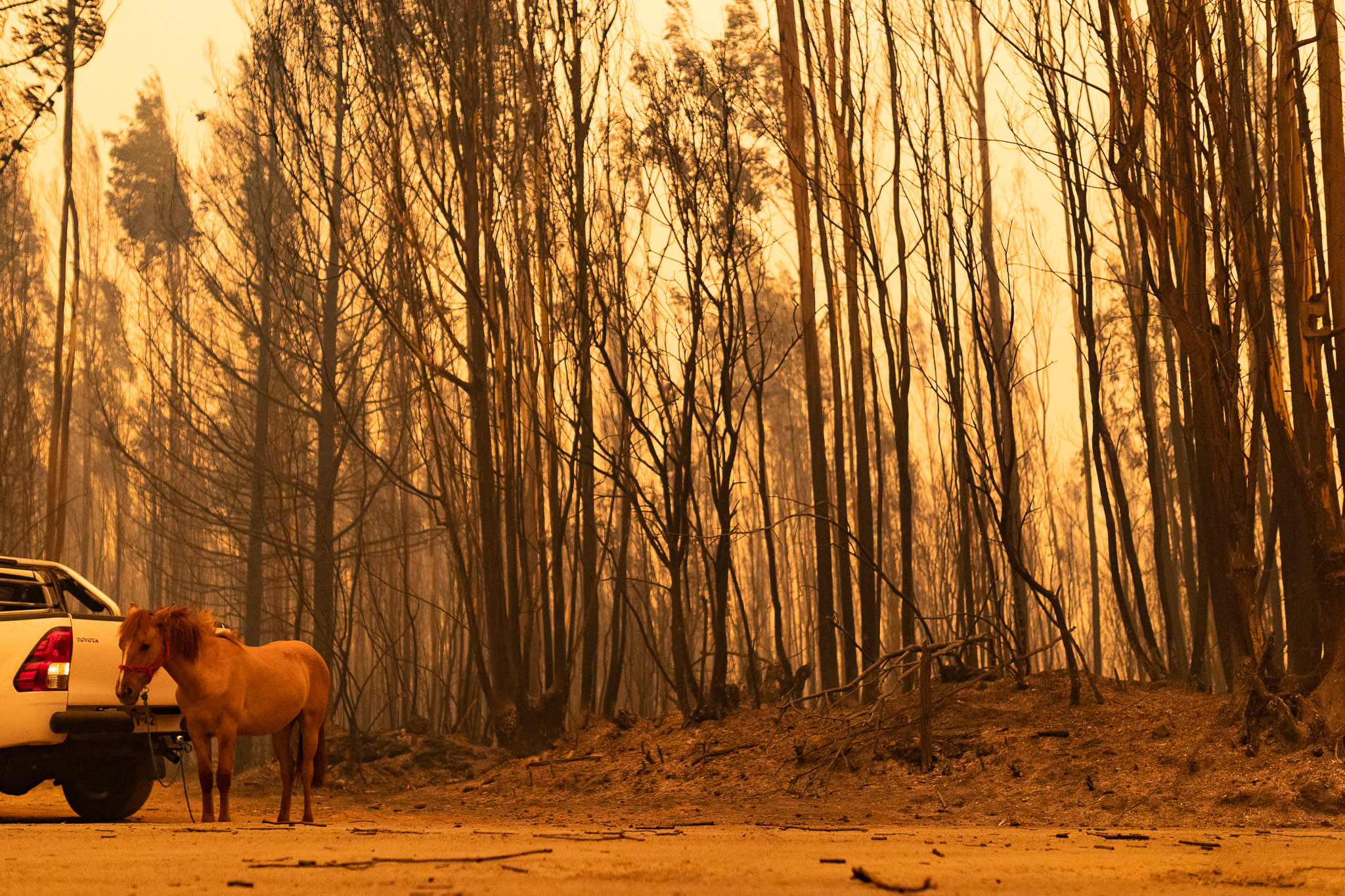 AME1493. SANTA JUANA (CHILE), 04/02/2023.- Fotografía de un sector incendiado ayer, cerca a la ciudad de Santa Juana (Chile). Las regiones de Biobío, Ñuble y La Araucanía son las más afectadas por unos incendios que ya han destruido más de 45.000 hectáreas y un centenar de viviendas y han provocado el desalojo de decenas de municipios. Los incendios coinciden con una larga sequía que ya dura más de trece años y con una ola de calor inédita en el sur, con temperaturas que pueden llegar en las próximas horas hasta los 40 grados celsius en zonas del sur. EFE/ Pablo Hidalgo