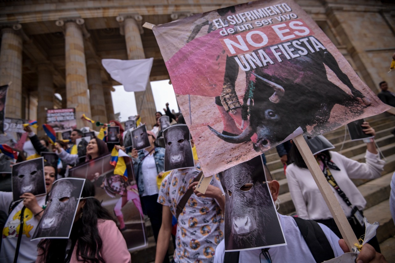 Protestas en defensa de los derechos animales