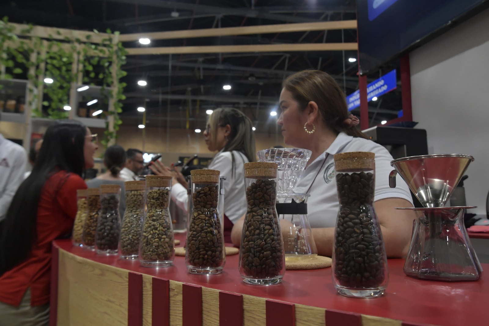 Cafés de Colombia Expo 2024 es el evento que reúne lo mejor de la tradición cafetera en Corferias (Bogotá) y que estará hasta este sábado 5 de octubre.