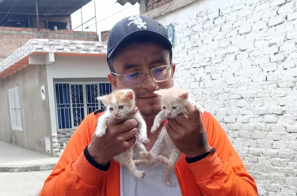 Este domingo en Cali: patinaje y solidaridad por los peluditos sin hogar