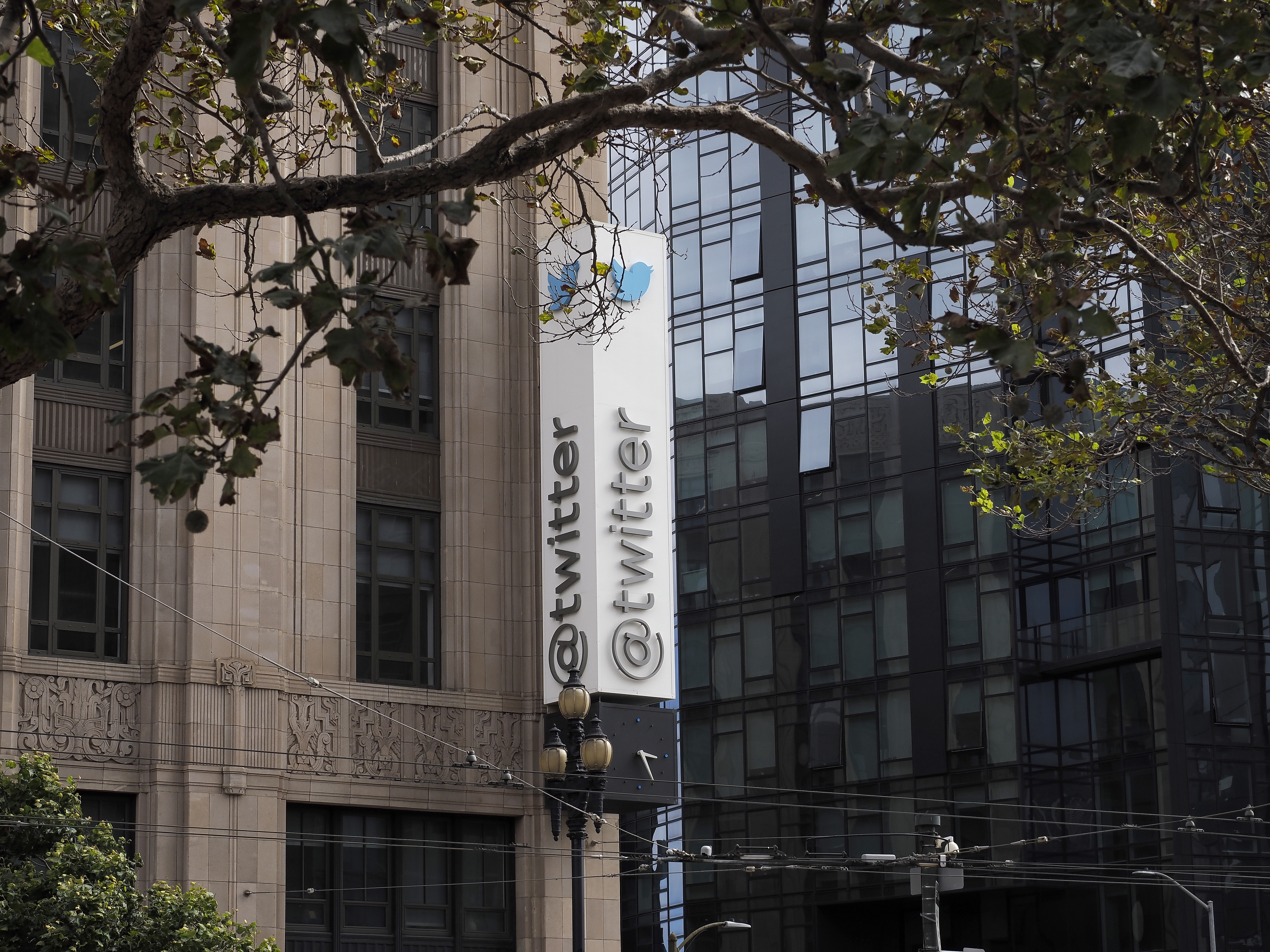 Renuncias en Twitter: empleados abandonan la compañía tras el ultimátum de Musk
