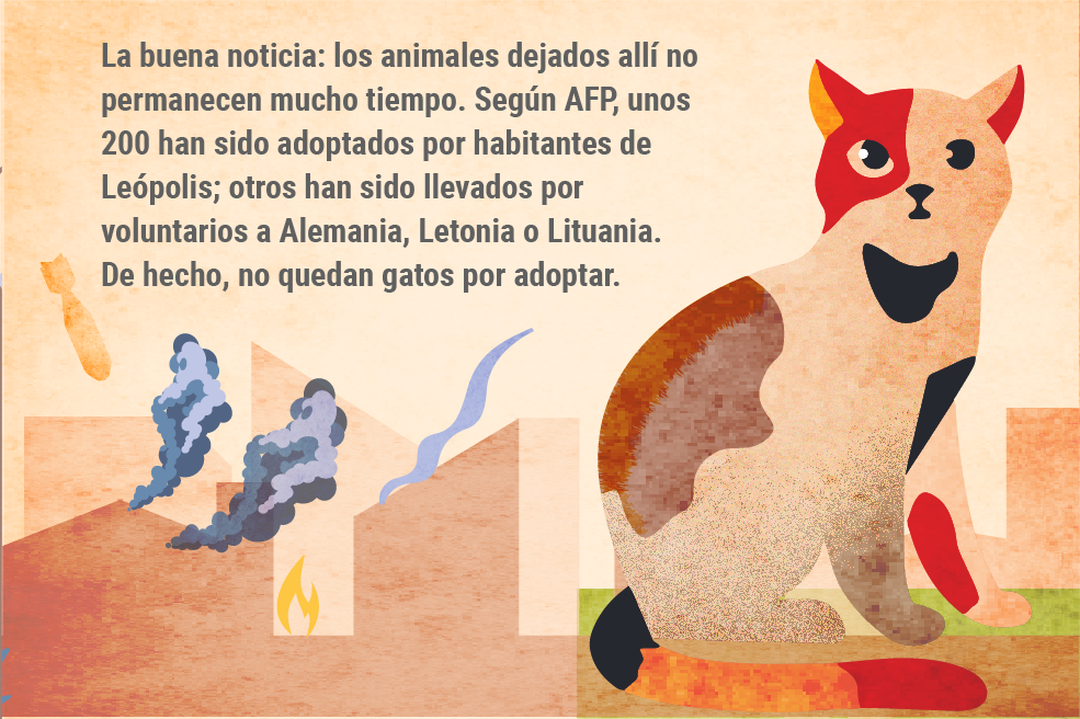 La buena noticia: los animales dejados allí no permanecen mucho tiempo. Según AFP, unos 200 han sido adoptados por habitantes de Leópolis; otros han sido llevados por voluntarios a Alemania, Letonia o Lituania. De hecho, no quedan gatos por adoptar.