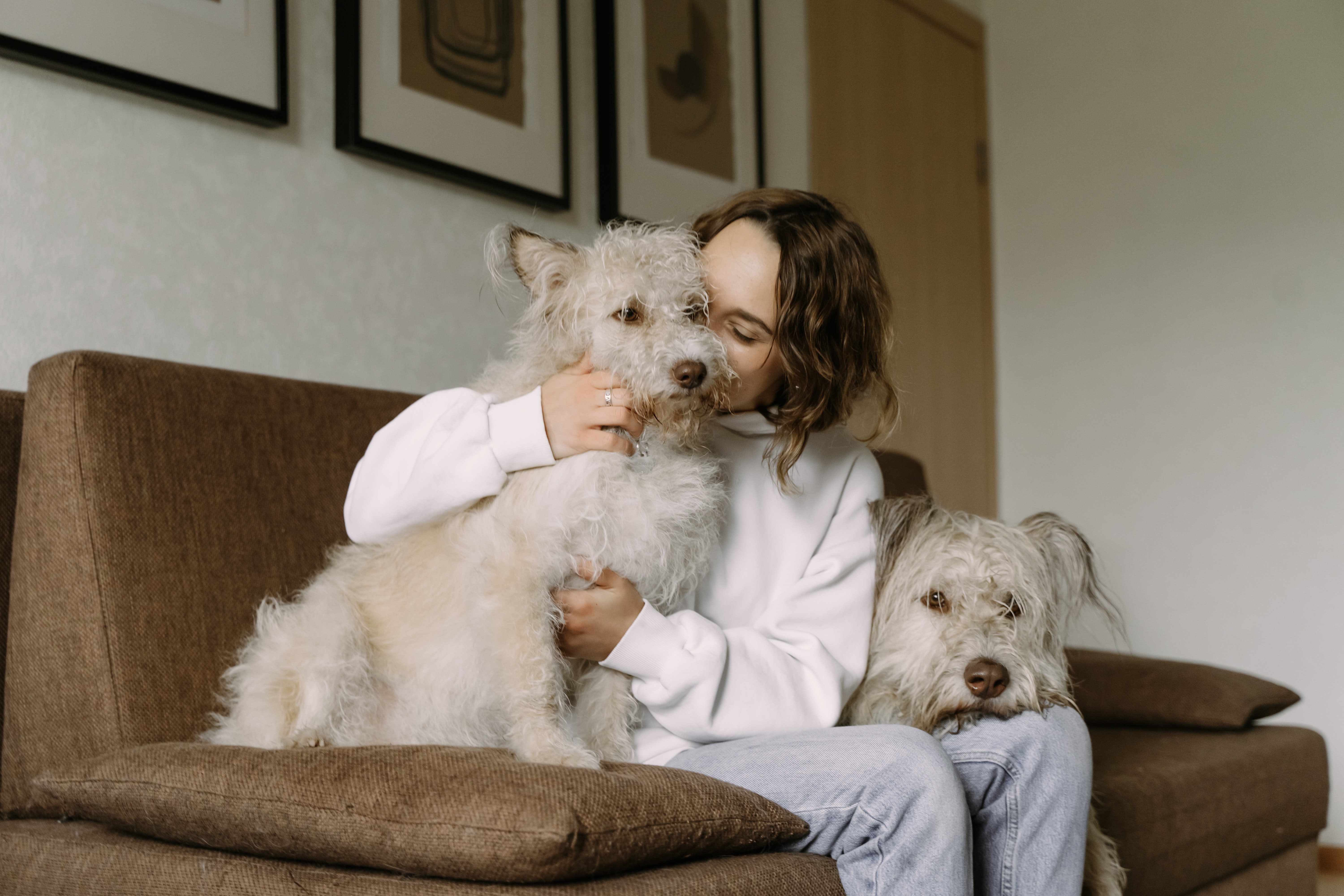 ¿Qué tan bueno es dormir con mi mascota?