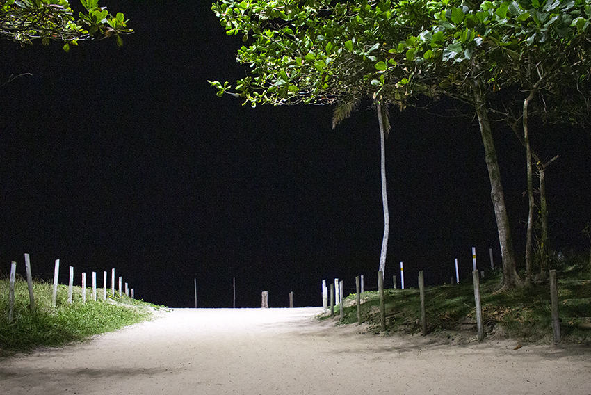 La playa de Copacabana, Leblon, Ipanema, Botafogo, Flamengo, Gávea o la playa roja de Vermelha, son solo una pequeña muestra de la variedad de playas que hay en Río.