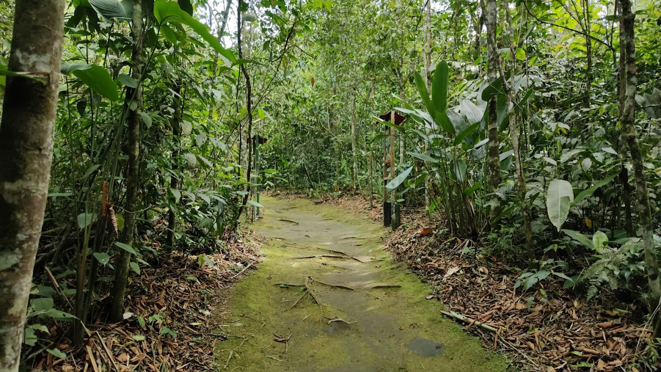 Jardín Botánico de Pereira
