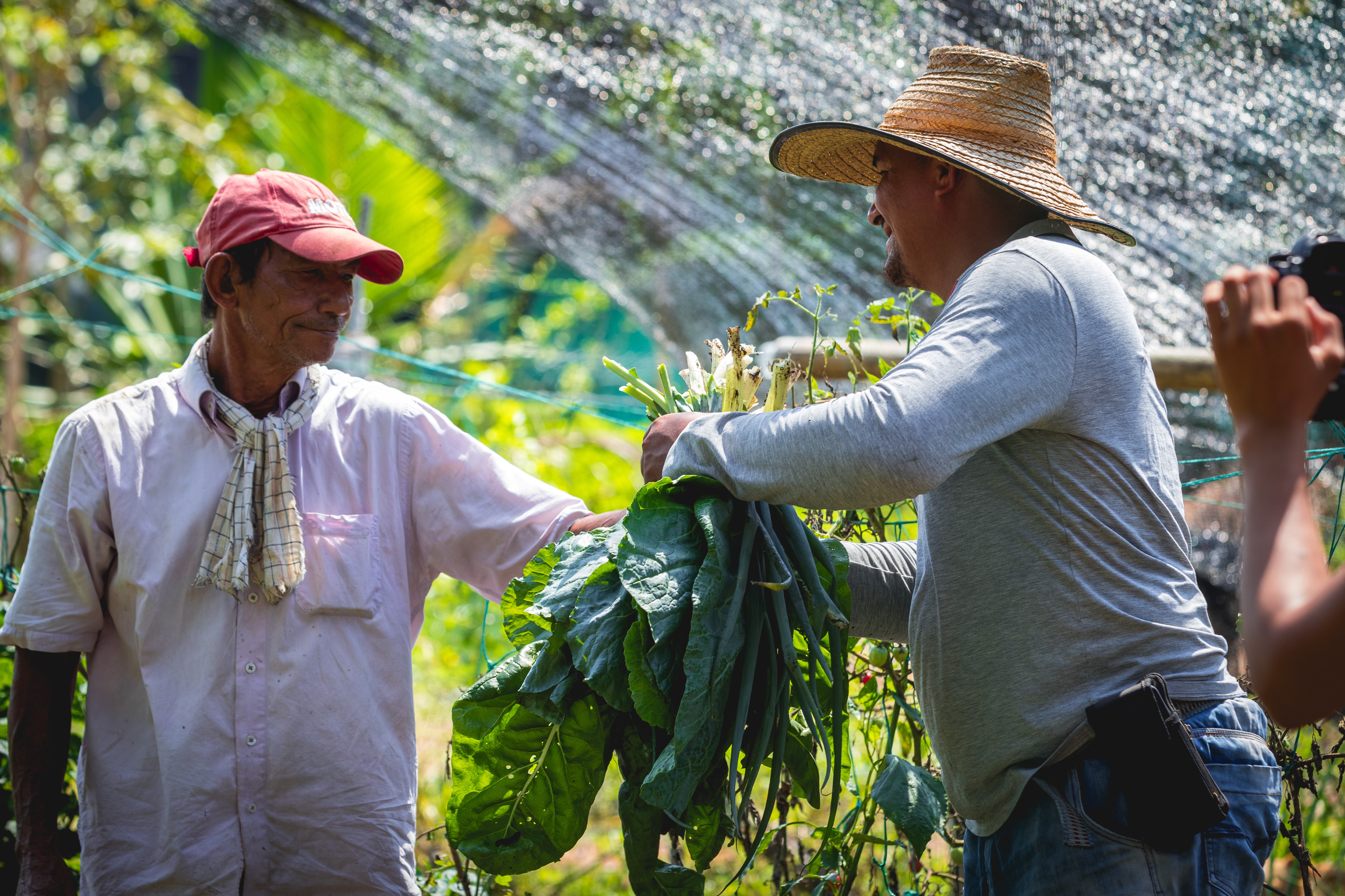 Los negocios sostenibles y verdes son una apuesta de estos proyectos hacia comunidades indígenas.