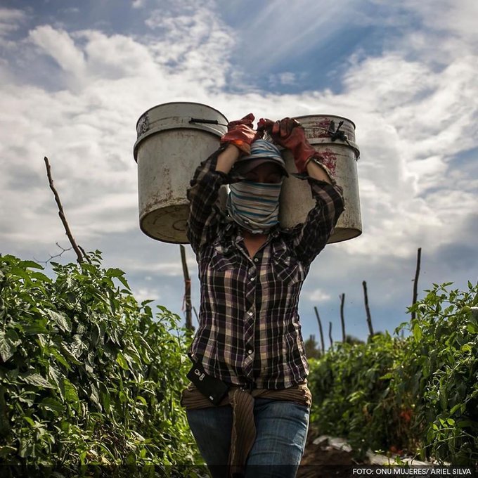 Lanzamiento: “Mujeres y hombres: brechas de género en Colombia”