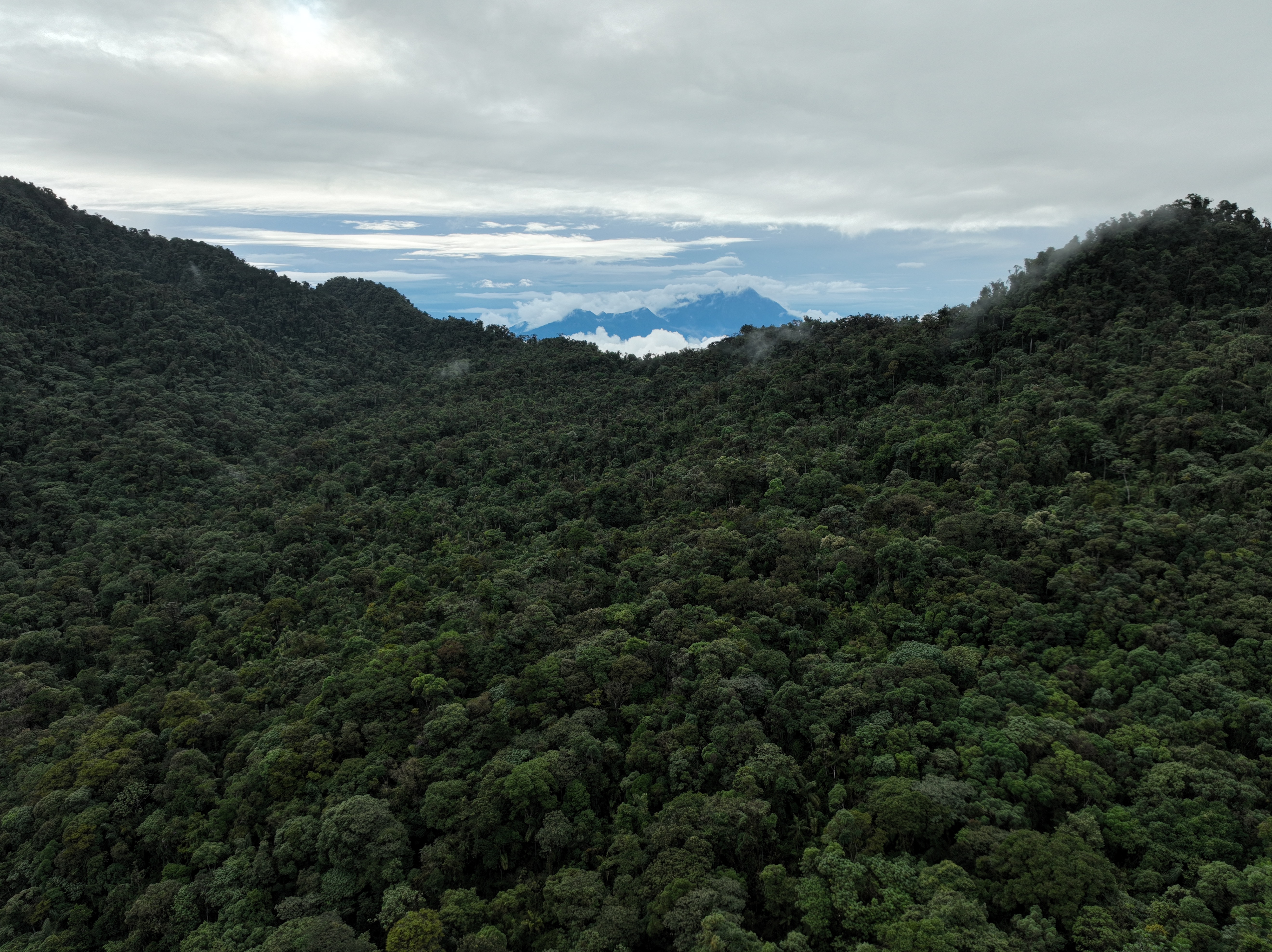 Imagen del cerro El Inglés, en el Valle del Cauca.