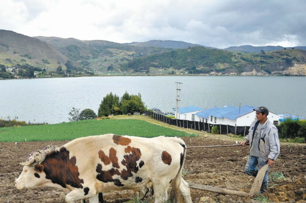 La tierra, una eterna disputa