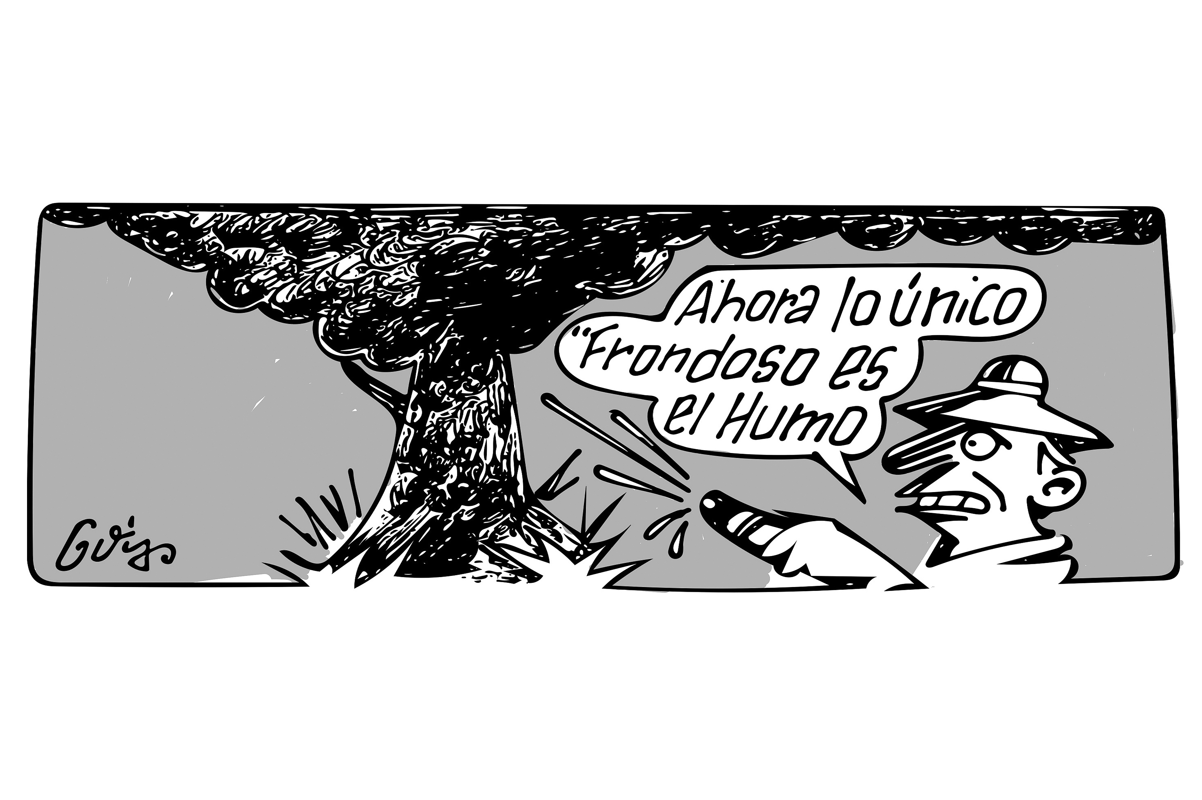 El final de la Amazonía