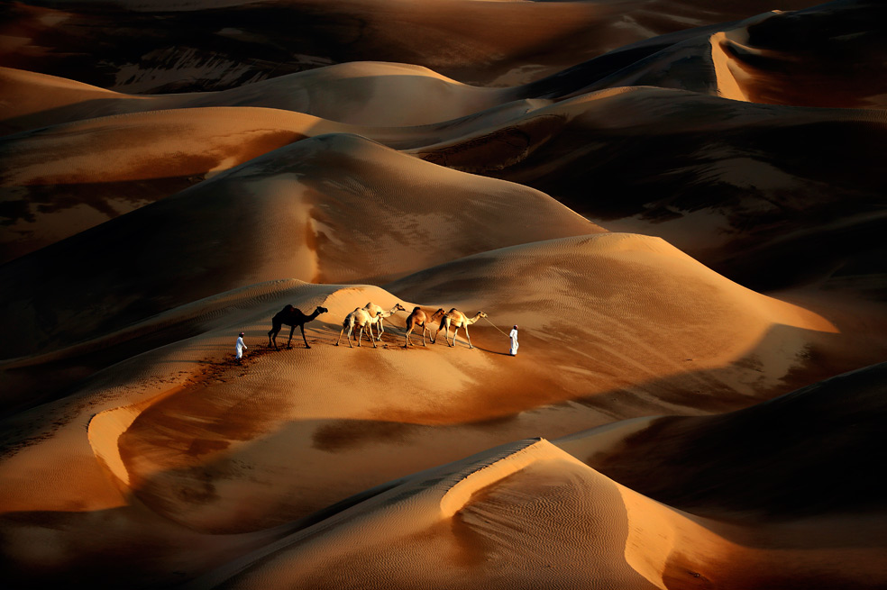 Hermosas imágenes del gran desierto en Dubai