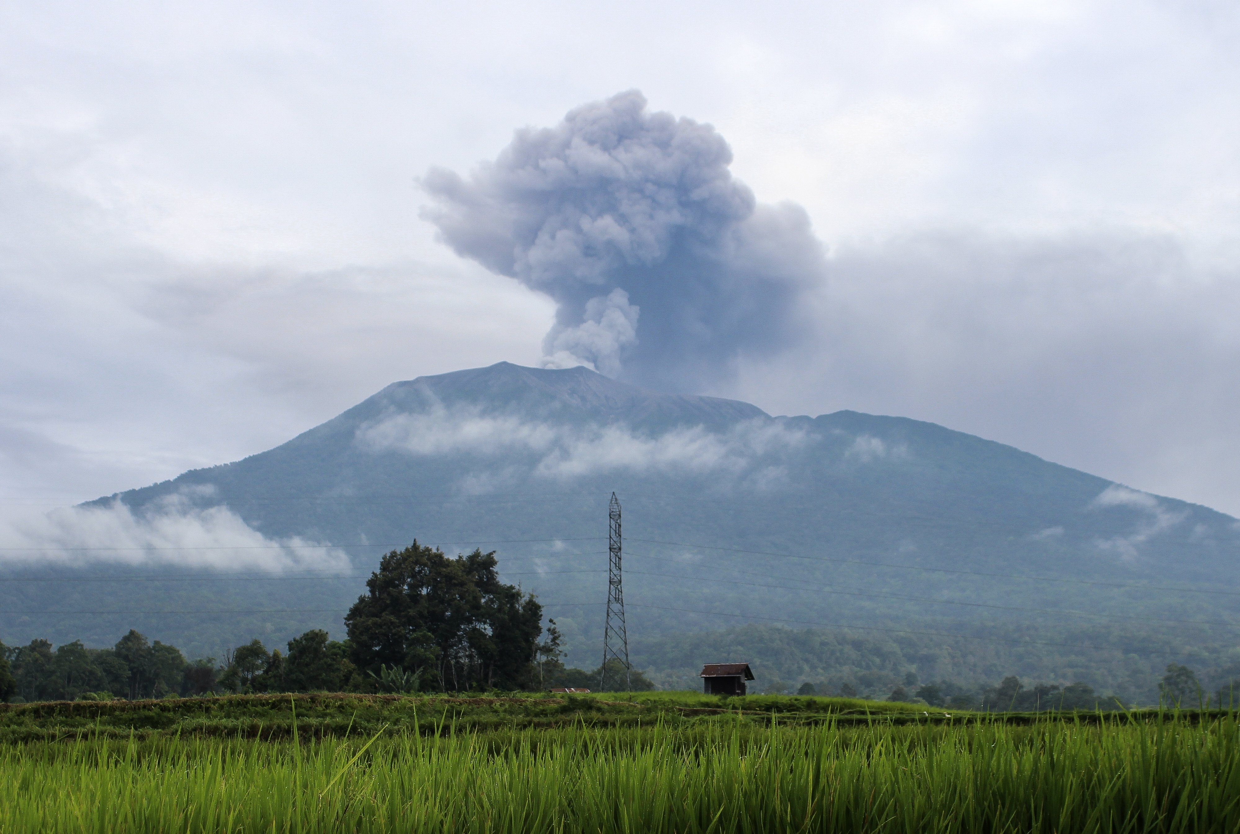 Al menos 11 senderistas muertos tras erupción de volcán en Indonesia
