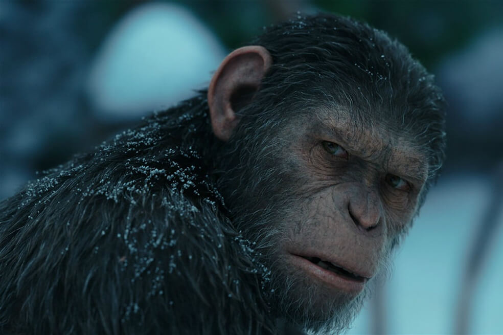 Disney planea nuevas películas de "El Planeta de los Simios"