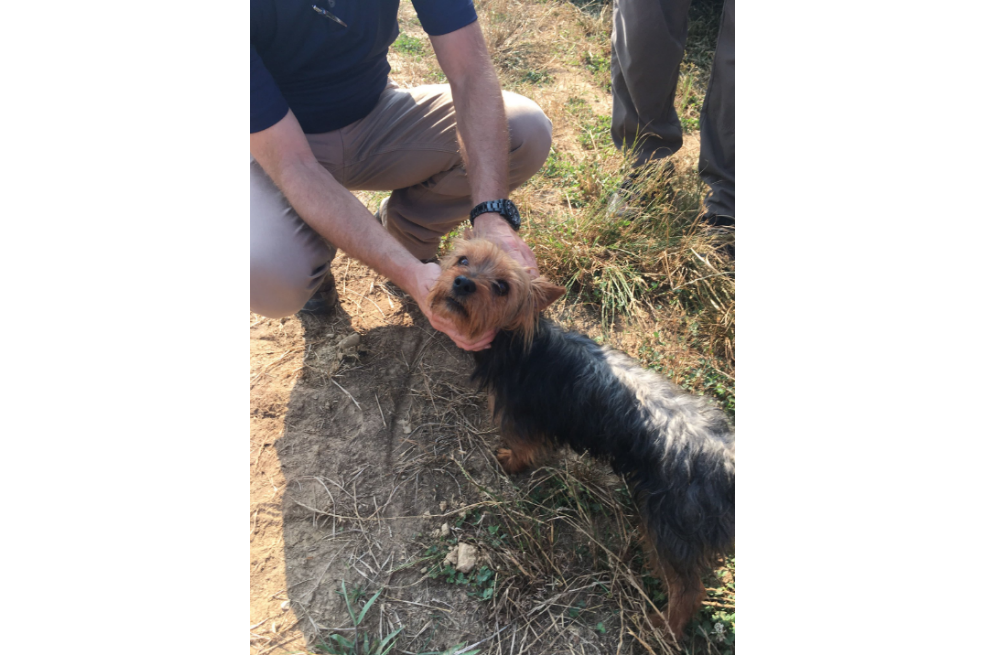 Encuentran en un campo de maíz a niña desaparecida junto a su perro